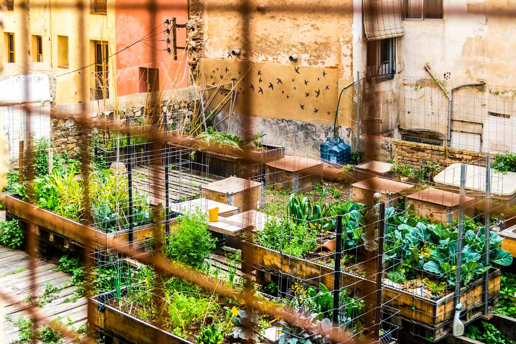 Les conseils d'un débutant sur la façon de commencer votre planification de jardin urbain