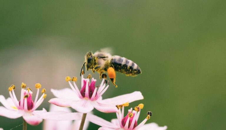 Ne devrions-nous pas commercialiser une image positive des musulmans?