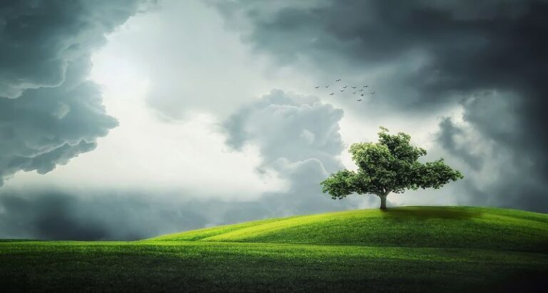 6 leçons puissantes de la sourate Yaseen : un voyage de réflexion