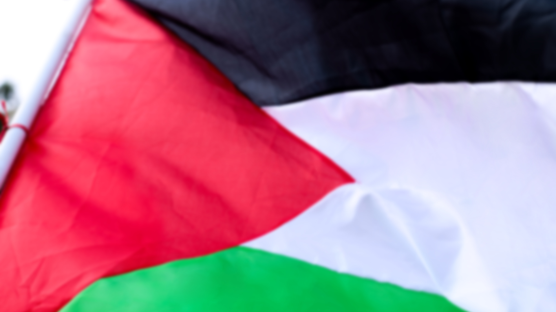 Comment réagir lorsque les chercheurs restent silencieux sur Gaza