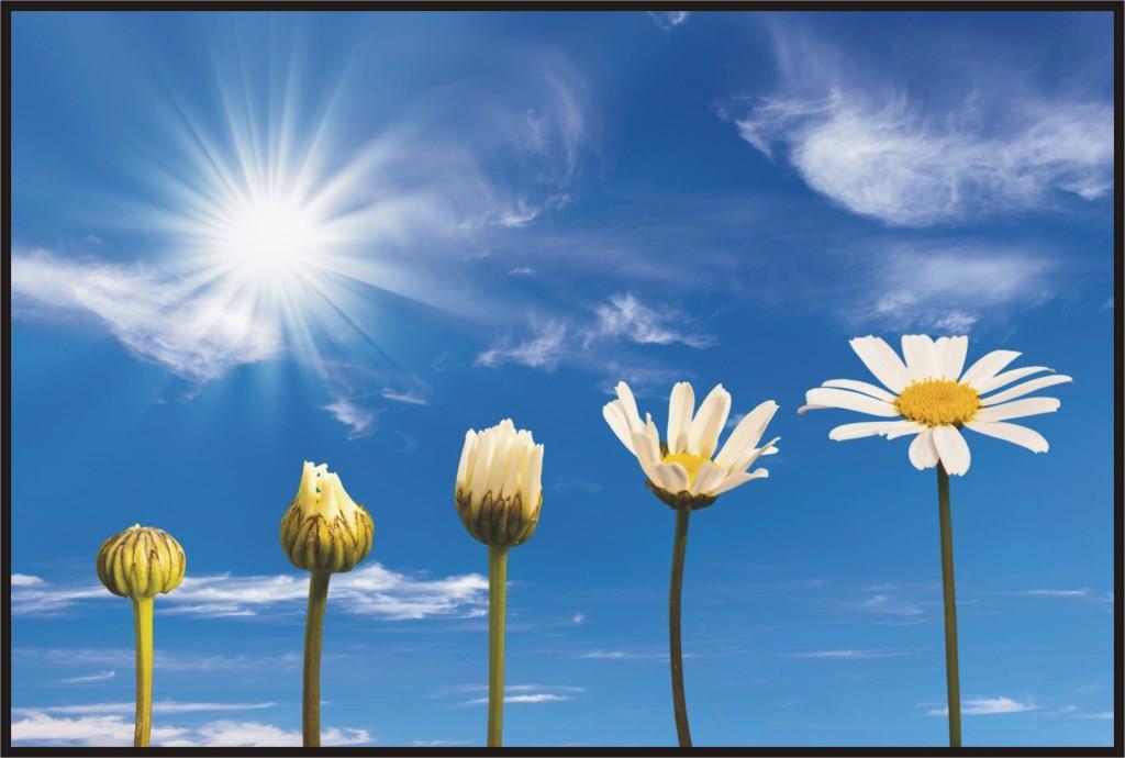 L’évolution spirituelle humaine est-elle possible ?