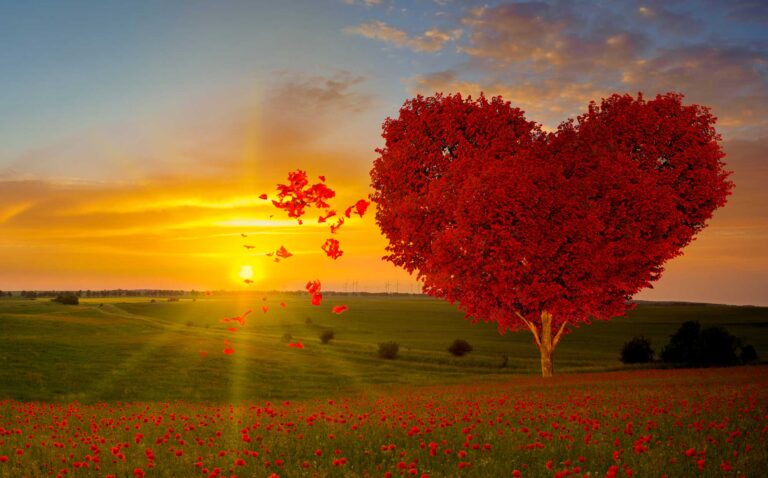 Ma mère a toujours raison, je ne me sens pas entendu ; Aide!