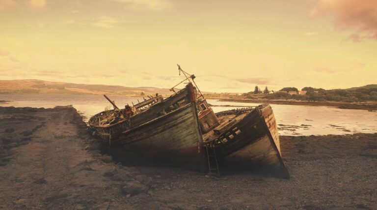 « Pourquoi les musulmans sont-ils si arriérés ? » Une jeunesse émerveillée