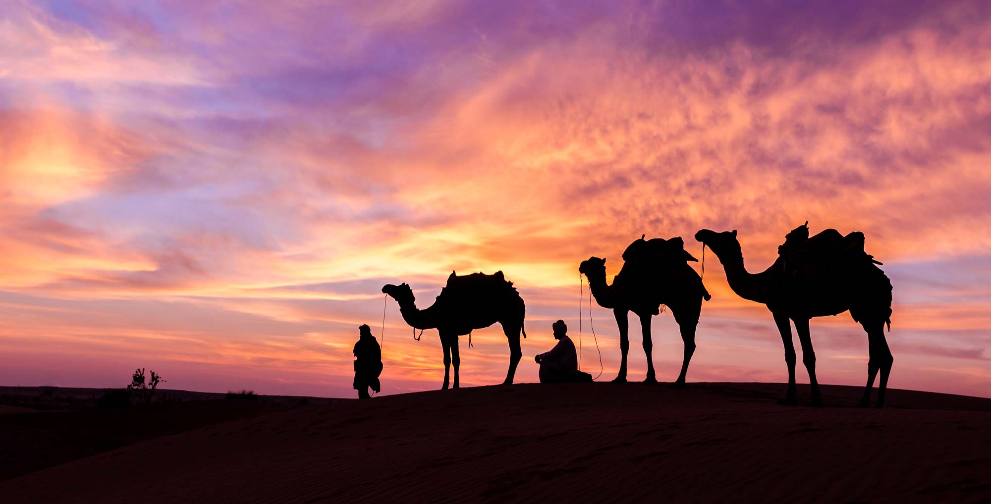 Umm Salamah : l'histoire d'une famille d'immigrés