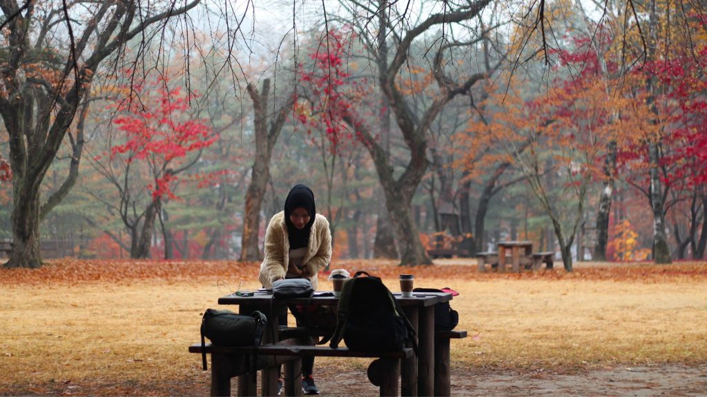 Le pouvoir de guérison de la nature - Une vision psychologique