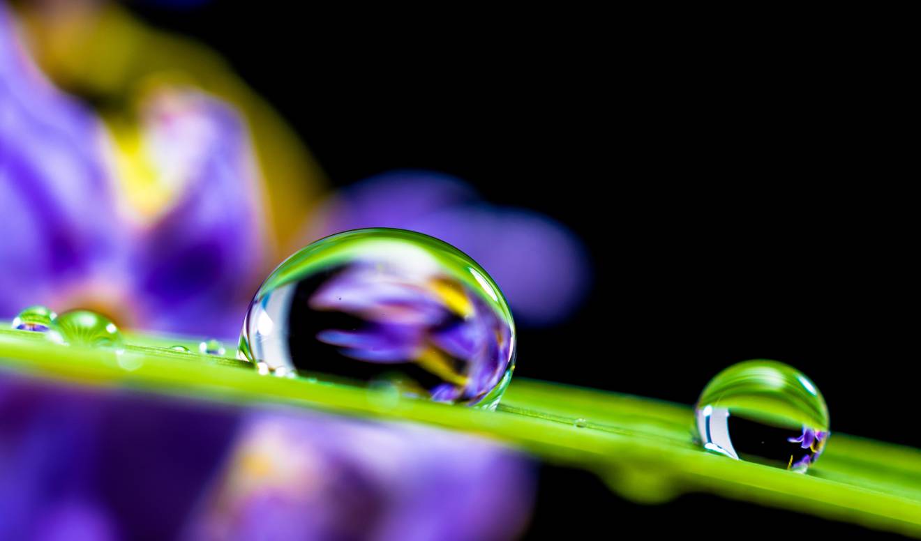 Comment atteindre une âme tranquille : aperçus de la sourate Al-Fajr