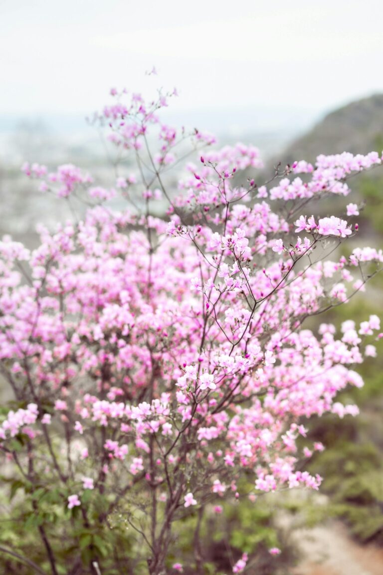 Crise existentielle : à quel point Allah est-il miséricordieux ?