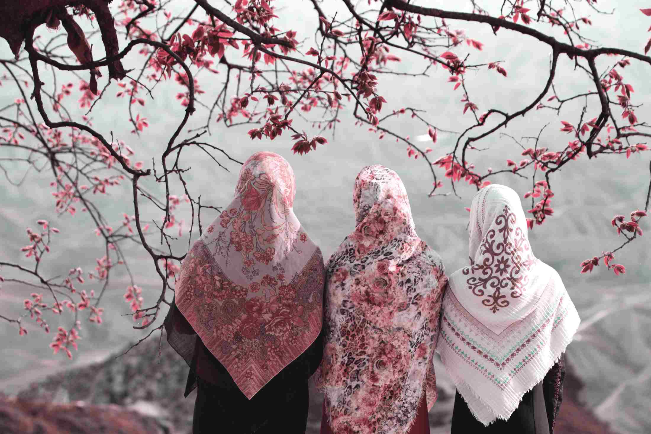 Lady Aishah : l'épouse bien-aimée du Prophète