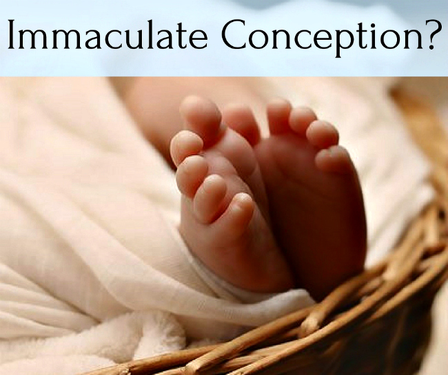 Les musulmans croient-ils à l’Immaculée Conception ?