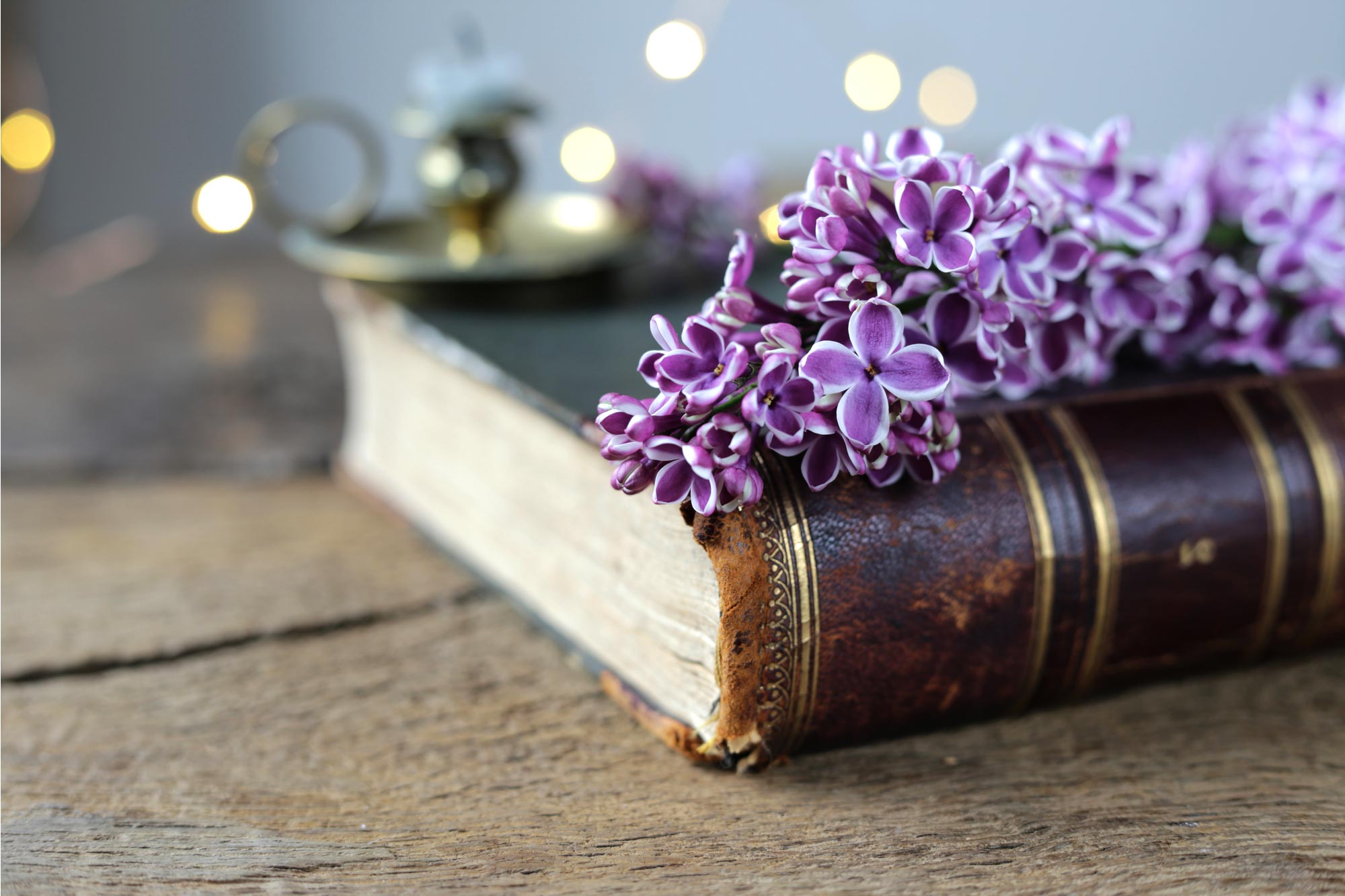 Hafsa bint Sereen : une érudite remarquable en histoire islamique