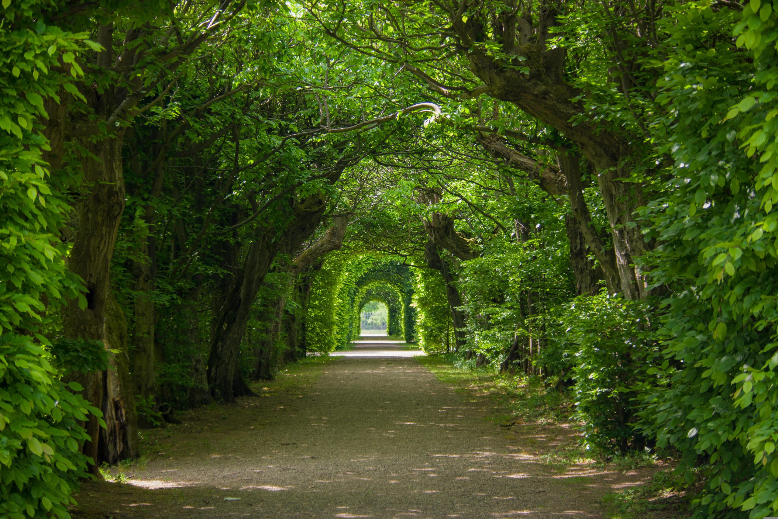 Quels que soient vos désirs : profitez éternellement de Jannah