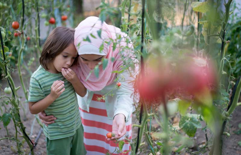 7 façons de gagner des récompenses continues grâce à des œuvres caritatives