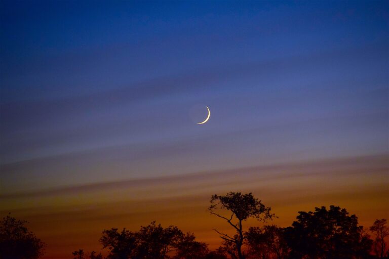 5 façons d’accueillir le Ramadan – L’invité spécial

