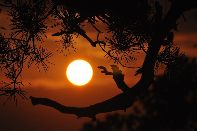 Fatigué des questions sans réponse