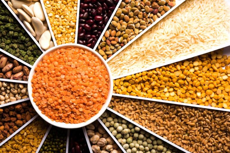Importance de la Zakat Al-Fitr

