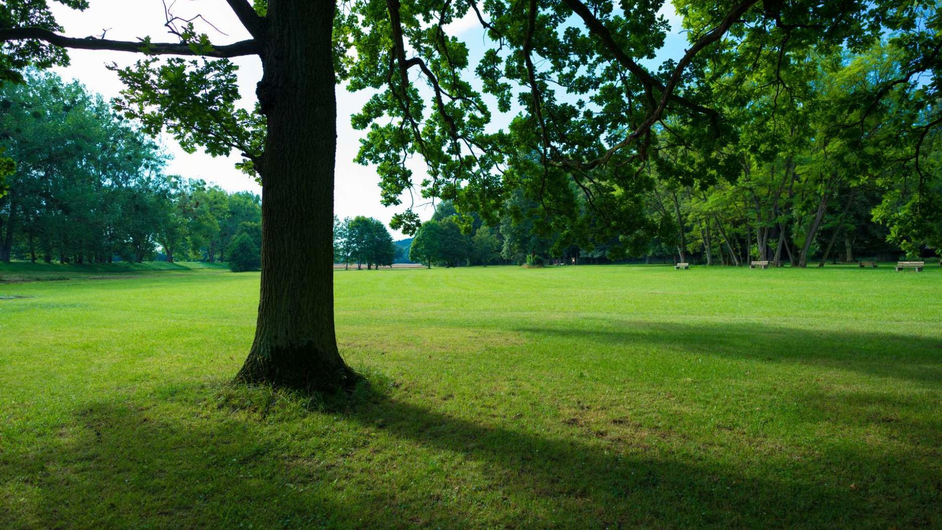 7 Êtes-vous en sécurité le Jour du Jugement – ​​Êtes-vous l’un d’eux ?