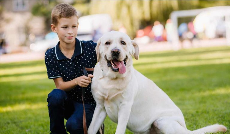 Perdrez-vous de bonnes actions si vous gardez des chiens dans l’Islam ?

